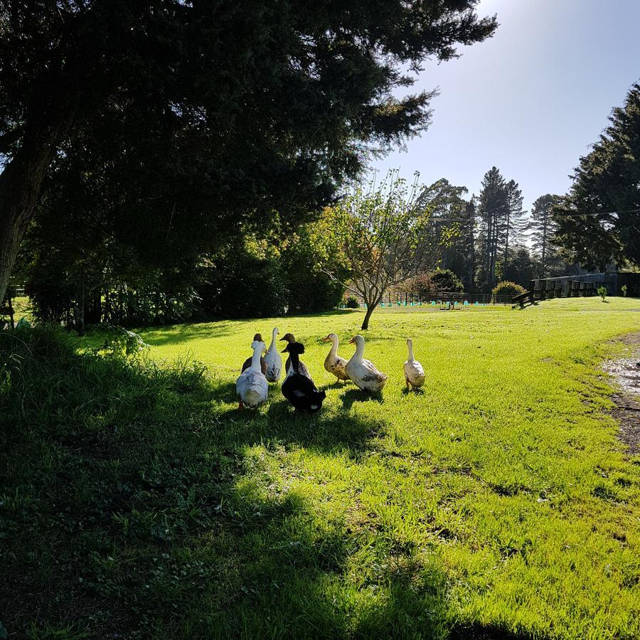 Poripori Homestead Tauranga Bagian luar foto